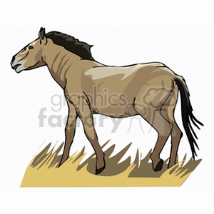 horse15 clipart. Royalty-free image # 132777