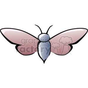   insect insects bug bugs butterfly butterflies  FAI0109.gif Clip Art Animals Insects 