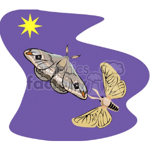   moth moths flying bug bugs  animals057.gif Clip Art Animals Insects 