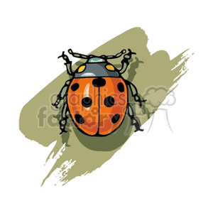 bug16 clipart. Royalty-free image # 132956
