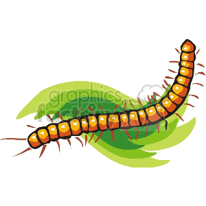 centipeed0001 clipart. Commercial use image # 132992