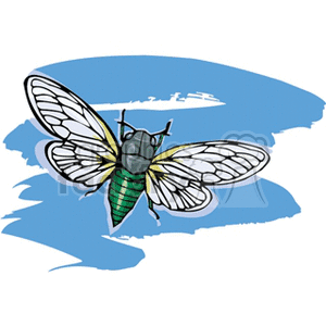 fly5 clipart. Commercial use image # 133007