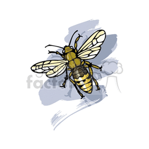   insect insects bug bugs bee bees  fly7.gif Clip Art Animals Insects 