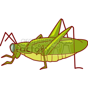   insect insects bug bugs grasshopper grasshoppers cricket crickets  grasshopper201.gif Clip Art Animals Insects 