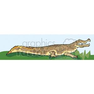 cayman clipart. Royalty-free image # 133116