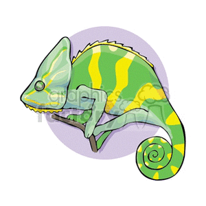 chameleon clipart. Commercial use image # 133118