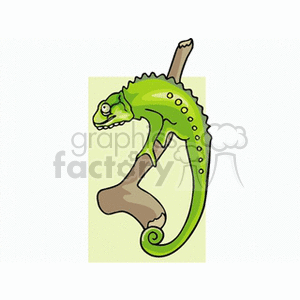 chameleon8 clipart. Royalty-free image # 133128
