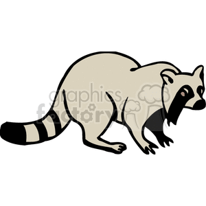   raccoon raccoons rodent rodents animals  BAB0307.gif Clip Art Animals Rodents 