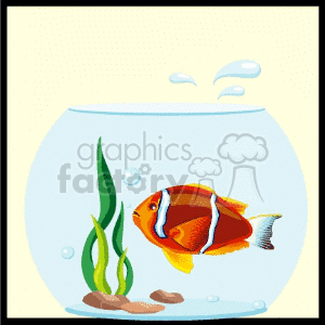 Pretty Orange Fish is a Fish Bowl clipart. Royalty-free image # 133624