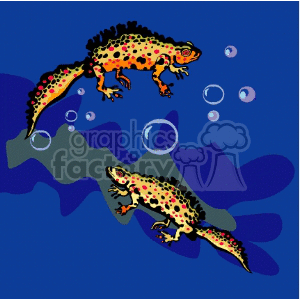 two newts swimming clipart. Commercial use image # 133626