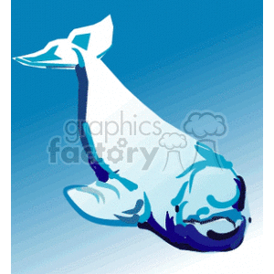 white and blue Porpoise clipart. Royalty-free image # 133647