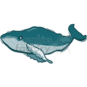humpback whale clipart. Commercial use image # 133787
