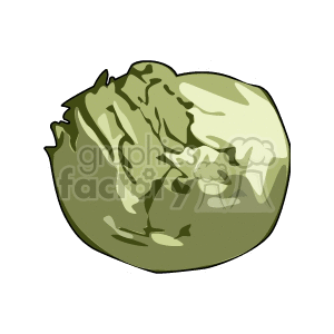 Lettuce clipart. Commercial use image # 142241