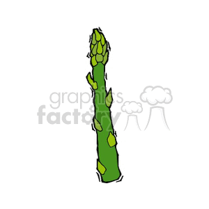 asparagus clipart. Royalty-free image # 142288