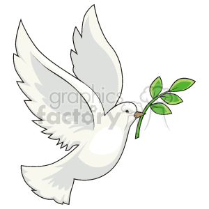 White dove flying with olive branch in its mouth