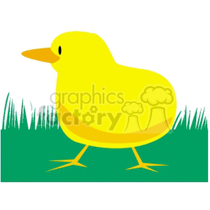 Fat yellow baby chick clipart.