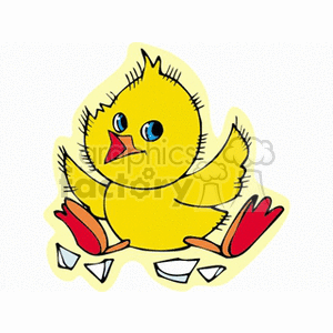   chicken chickens baby easter chick chicks  biddy.gif Clip Art Holidays Easter yellow happy wings shell cracked broken blue eyes