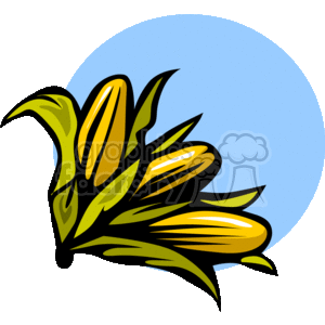 2_corn clipart. Royalty-free image # 145032