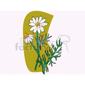 Wild field flowers clipart. Royalty-free image # 151218