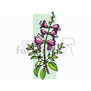 basil clipart. Commercial use image # 151805