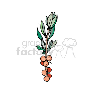 berry8 clipart. Royalty-free image # 151823