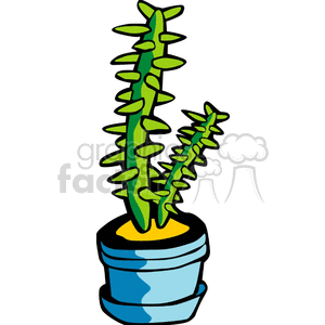   plant plants cactus cactuses  cactus0007.gif Clip Art Nature Plants 