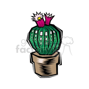   plant plants desert cactus cactuses  cactus31212.gif Clip Art Nature Plants 