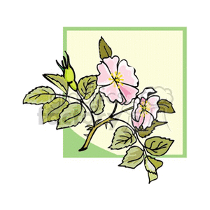 hedgerose1312 clipart. Royalty-free image # 152072