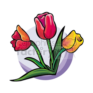   plant plants flower flowers tulip tulips  valley.gif Clip Art Nature Plants 