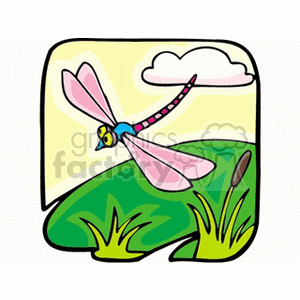 Dragonfly with pink wings