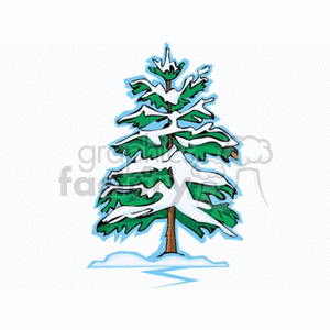 clipart - Snow covered pine tree.