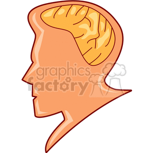 The Brain clipart. Commercial use image # 165677