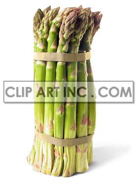 Bunch of asparagus clipart. Commercial use image # 176928