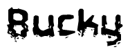 The image contains the word Bucky in a stylized font with a static looking effect at the bottom of the words