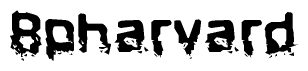 The image contains the word Bpharvard in a stylized font with a static looking effect at the bottom of the words