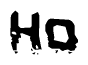 This nametag says Ho, and has a static looking effect at the bottom of the words. The words are in a stylized font.