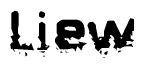 This nametag says Liew, and has a static looking effect at the bottom of the words. The words are in a stylized font.