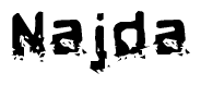 The image contains the word Najda in a stylized font with a static looking effect at the bottom of the words