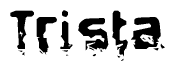 The image contains the word Trista in a stylized font with a static looking effect at the bottom of the words