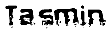 The image contains the word Tasmin in a stylized font with a static looking effect at the bottom of the words