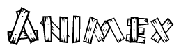 The clipart image shows the name Animex stylized to look like it is constructed out of separate wooden planks or boards, with each letter having wood grain and plank-like details.