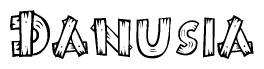 The clipart image shows the name Danusia stylized to look like it is constructed out of separate wooden planks or boards, with each letter having wood grain and plank-like details.