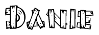 The image contains the name Danie written in a decorative, stylized font with a hand-drawn appearance. The lines are made up of what appears to be planks of wood, which are nailed together