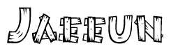The image contains the name Jaeeun written in a decorative, stylized font with a hand-drawn appearance. The lines are made up of what appears to be planks of wood, which are nailed together