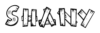The image contains the name Shany written in a decorative, stylized font with a hand-drawn appearance. The lines are made up of what appears to be planks of wood, which are nailed together