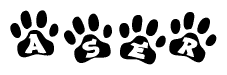 The image shows a row of animal paw prints, each containing a letter. The letters spell out the word Aser within the paw prints.