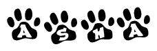 The image shows a series of animal paw prints arranged horizontally. Within each paw print, there's a letter; together they spell Asha