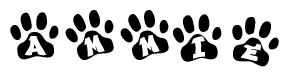 The image shows a series of animal paw prints arranged horizontally. Within each paw print, there's a letter; together they spell Ammie