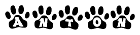 The image shows a series of animal paw prints arranged in a horizontal line. Each paw print contains a letter, and together they spell out the word Anton.