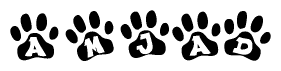 The image shows a series of animal paw prints arranged horizontally. Within each paw print, there's a letter; together they spell Amjad